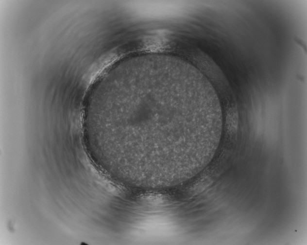 X0000103950730200810171837