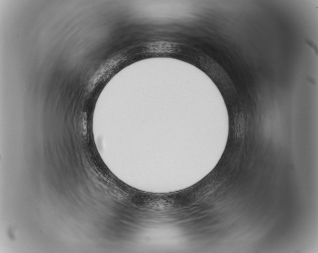 X0000103950731200810171837