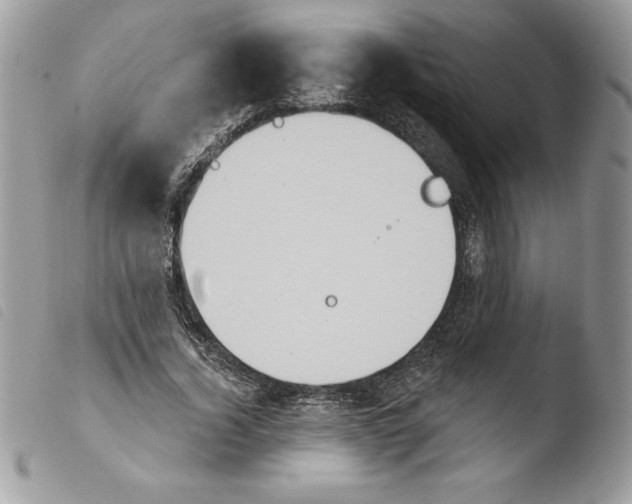 X0000103950732200810171837