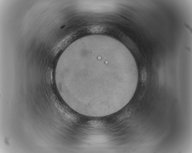 X0000103950733200810171837