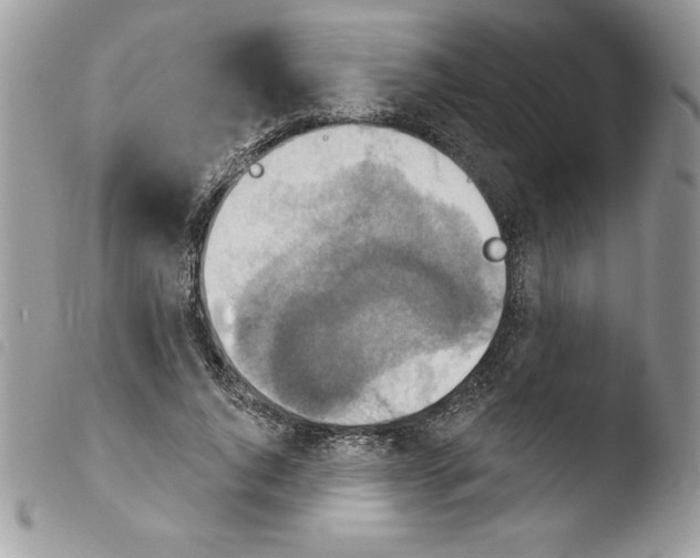 X0000103950736200810171838