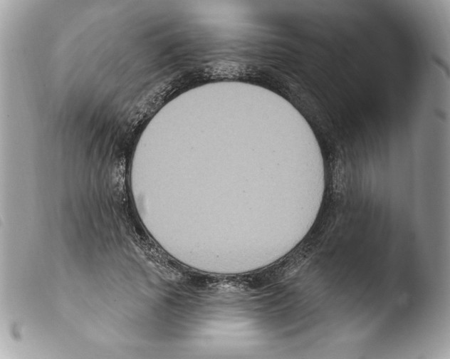 X0000103950737200810171838