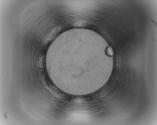 X0000103950738200810171838