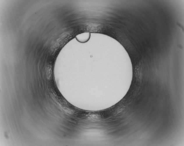 X0000103950741200810171838