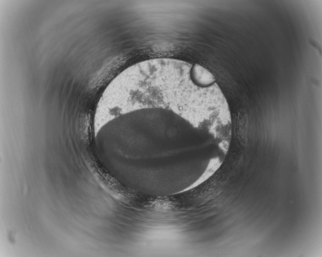 X0000103950742200810171838