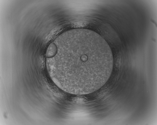 X0000103950743200810171838