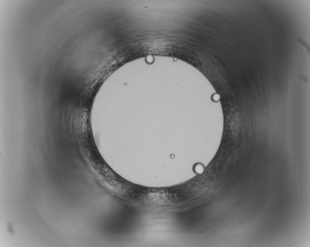 X0000103950744200810171838