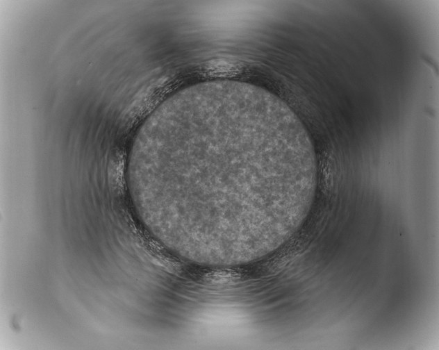 X0000103950745200810171838