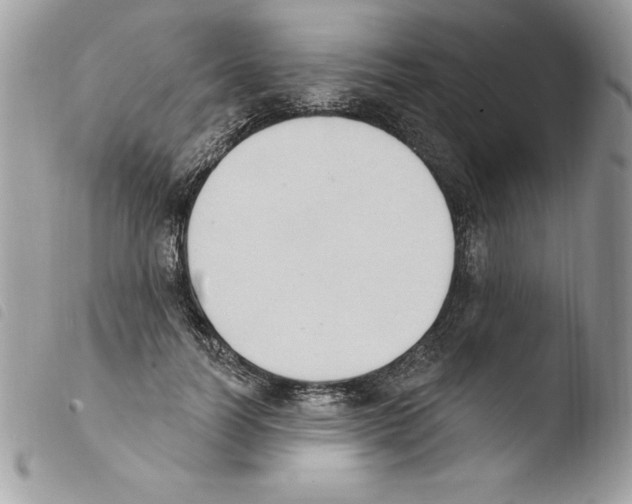 X0000103950746200810171838