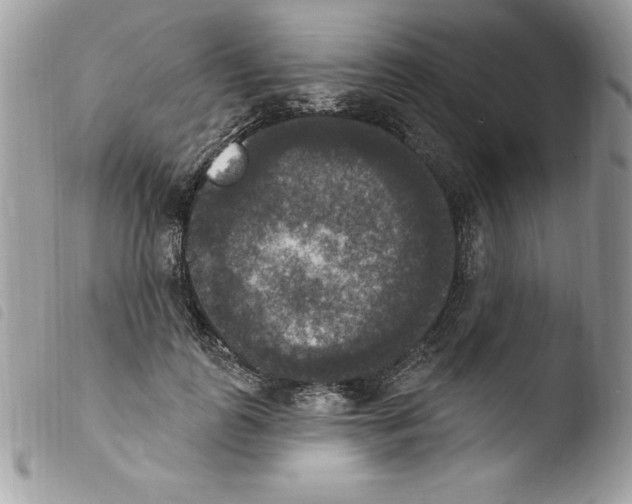 X0000103950747200810171838