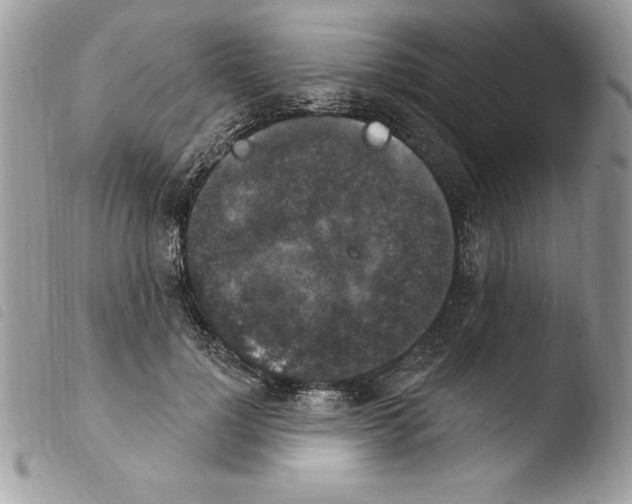X0000103950748200810171838