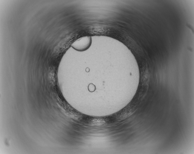 X0000103950749200810171838