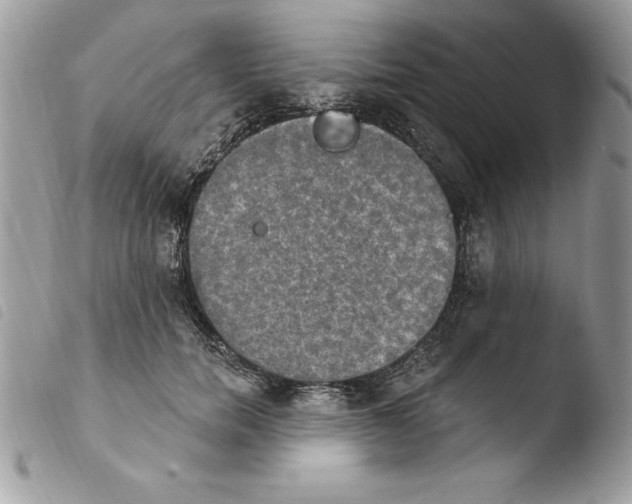 X0000103950750200810171838