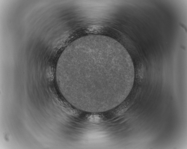 X0000103950751200810171838