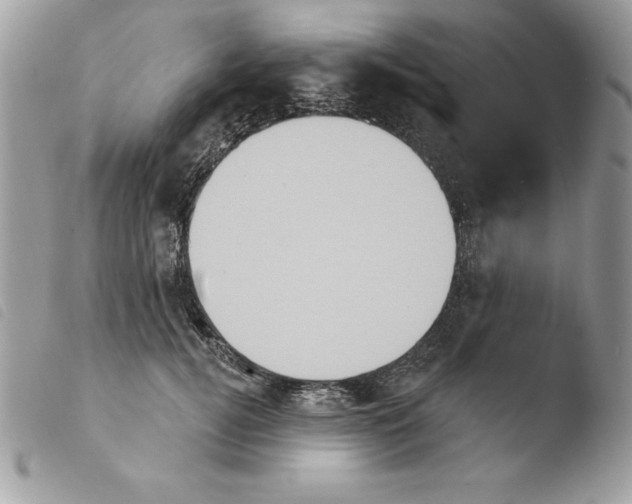 X0000103950752200810171838
