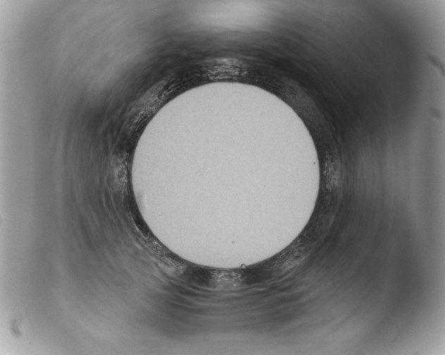 X0000103950753200810171838