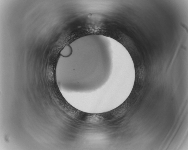 X0000103950754200810171838