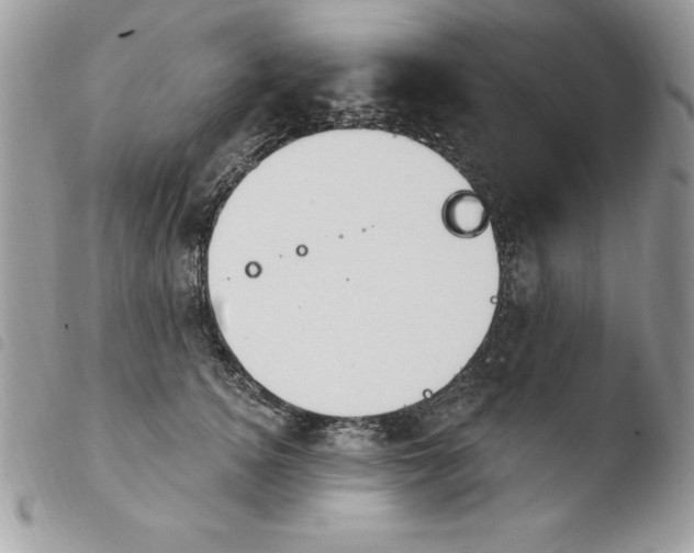 X0000103950756200810171838