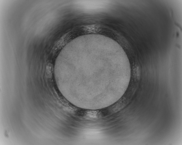 X0000103950757200810171838