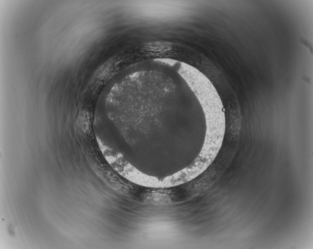 X0000103950758200810171838