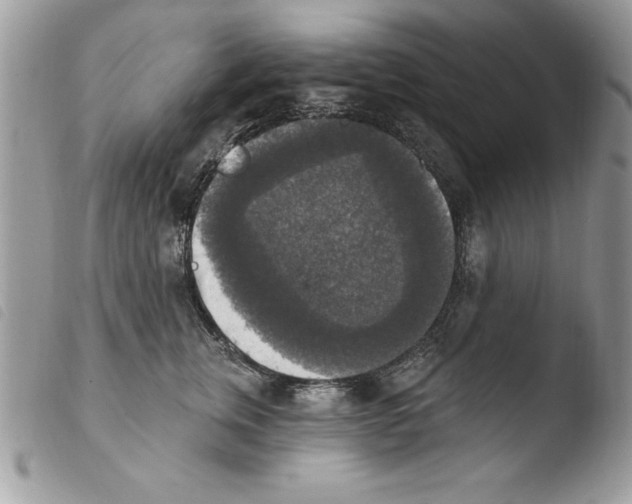 X0000103950759200810171838