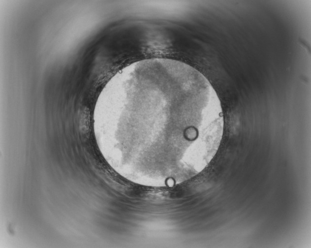 X0000103950760200810171838