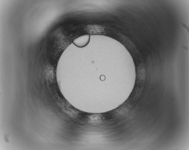 X0000103950761200810171838