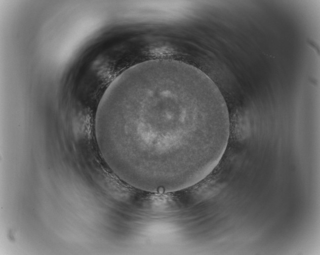 X0000103950762200810171838