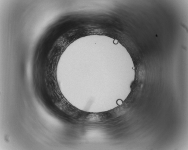 X0000103950764200810171838