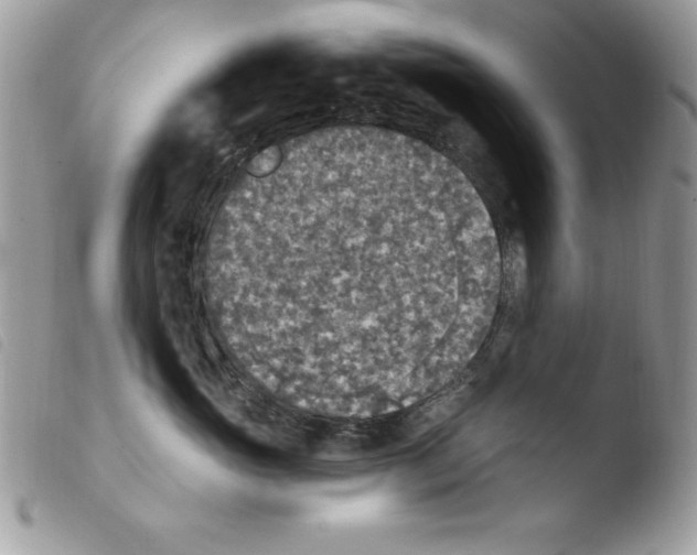 X0000103950765200810171838