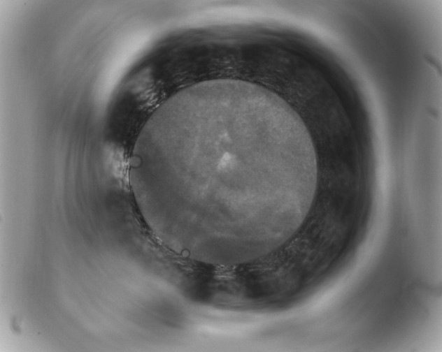 X0000103950766200810171838