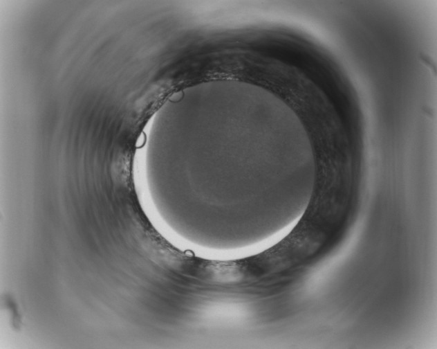 X0000103950767200810171838