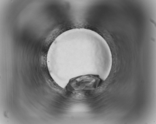 X0000103950768200810171838
