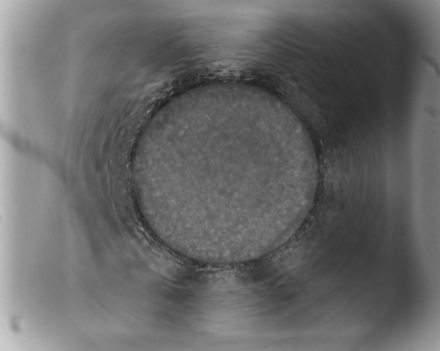 X0000103950769200810171837