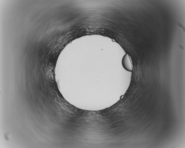 X0000103950770200810171837
