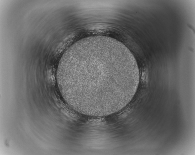 X0000103950771200810171837