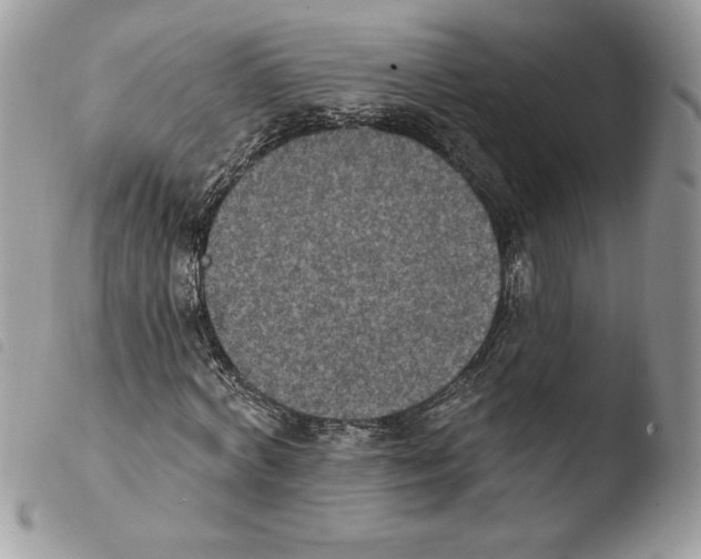 X0000103950772200810171837
