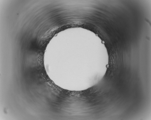 X0000103950773200810171837