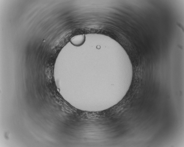 X0000103950774200810171837