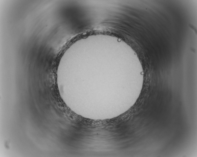 X0000103950776200810171837