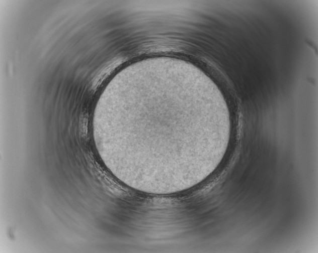 X0000103950777200810171837