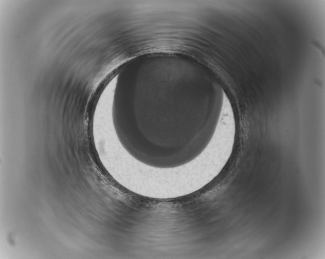 X0000103950779200810171837