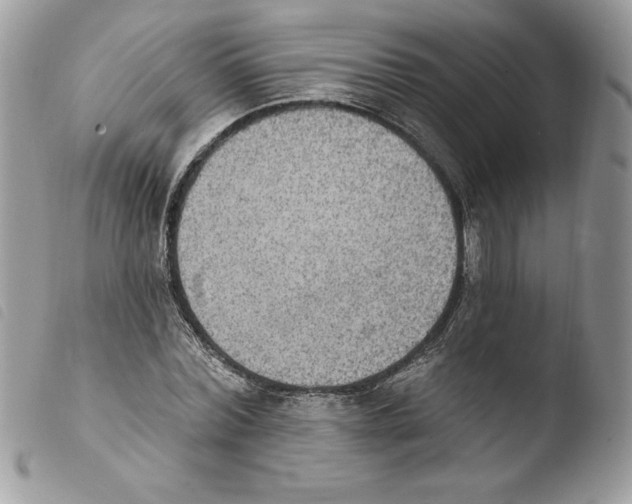 X0000103950780200810171837