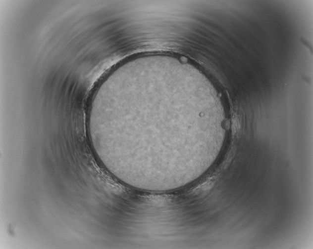 X0000103950781200810171837