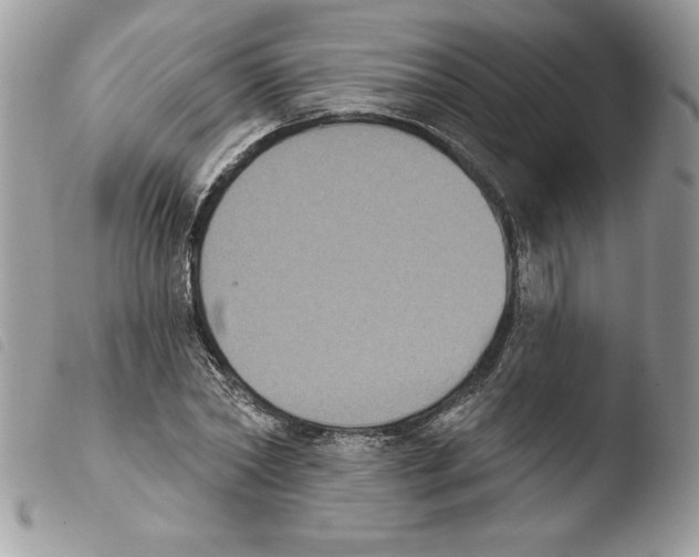 X0000103950782200810171837