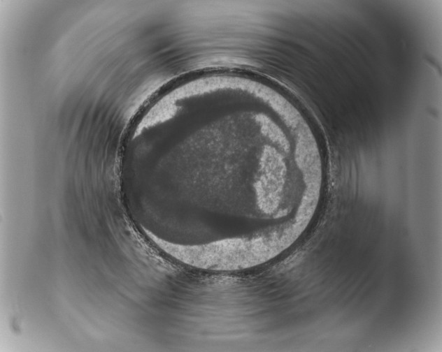X0000103950783200810171837