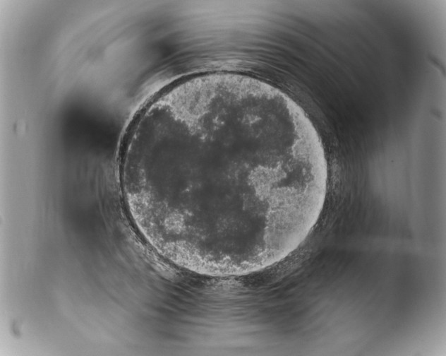 X0000103950784200810171837