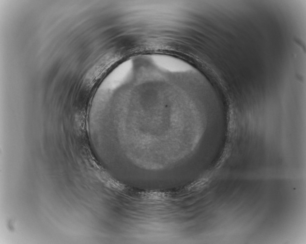 X0000103950785200810171837