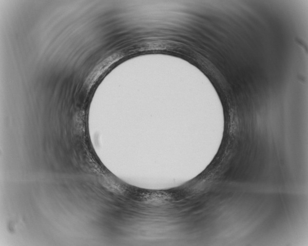 X0000103950786200810171837