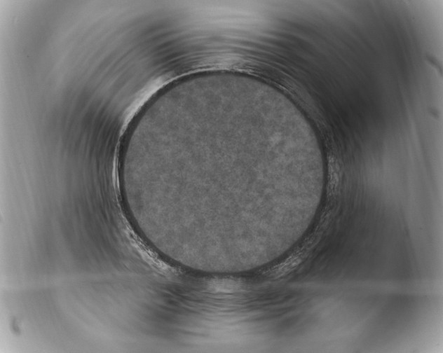 X0000103950788200810171837